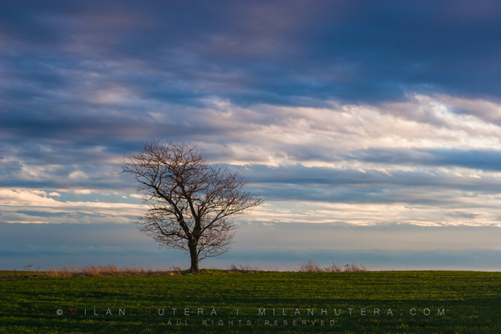 Perfect Solitude