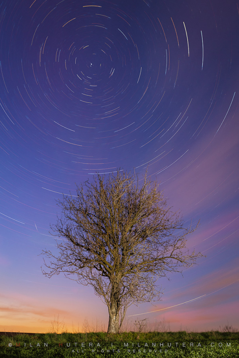 The Wheel of Time The Wheel of Time is a concept found in several religions and philosophies, which regards the time as something cyclical and repeating. The same could be said about the stars as we percieve them from Earth. Each night they perform their circuar journey around the North Star. This photo presents the 75 minute journey of the brightest stars across the northern sky. The LED flashlight was used to illuminate the tree. Artistic liberty: during the capture, a very large satellite or International Space Station flew right across the frame, leaving a bright trail. During the post-processing, I painstakingly removed this trail to present my vision of the scene.