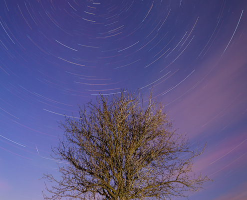 The Wheel of Time is a concept found in several religions and philosophies, which regards the time as something cyclical and repeating. The same could be said about the stars as we percieve them from Earth. Each night they perform their circuar journey around the North Star. This photo presents the 75 minute journey of the brightest stars across the northern sky. The LED flashlight was used to illuminate the tree. Artistic liberty: during the capture, a very large satellite or International Space Station flew right across the frame, leaving a bright trail. During the post-processing, I painstakingly removed this trail to present my vision of the scene.