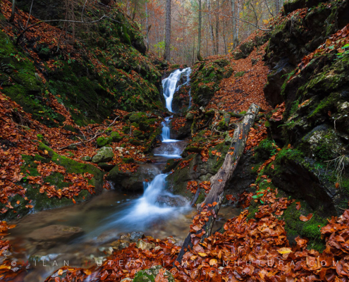 Autumn has arrived to one of many small streams in Slovensky raj National Park.