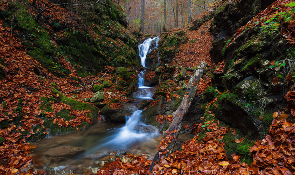 Waterfall and Fallen Leaves