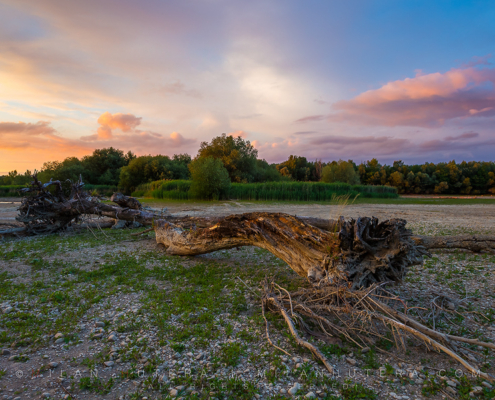 Cold June weather and strong evening wind were the perfect ingredients to this sunset on this temporarily dried out riverbed. These dead trees are usually submerged in the waters of river Váh. Every few years, the maintenance procedures on the nearby power station dry out the river bed for a short period of time. This year however, this is a natural phenomenon. The riverbed has almost completely dried out and even weed is starting to grow through the stones. Váh is the longest Slovak river (403 kilometers) and has a system of 22 water dams with power stations.