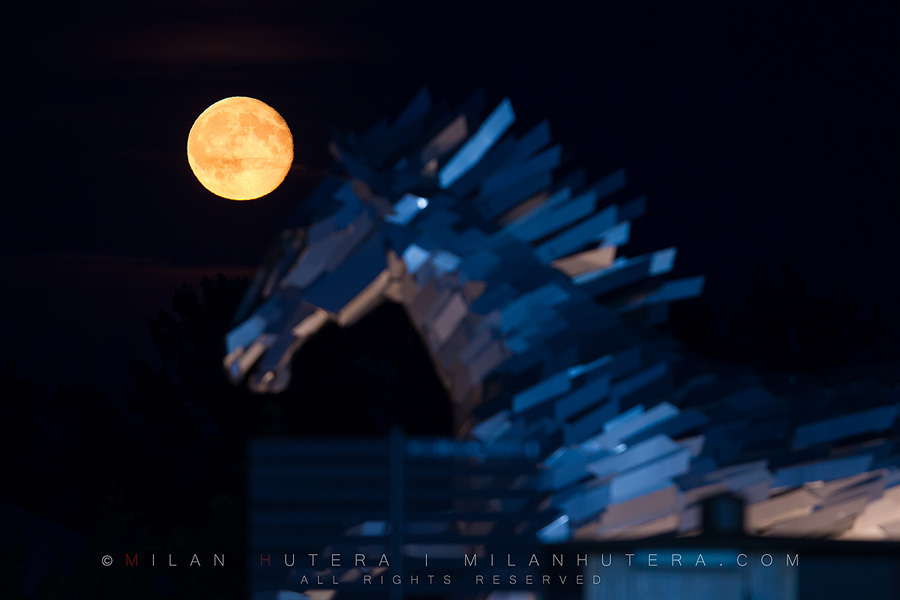 Equestrian Moonrise