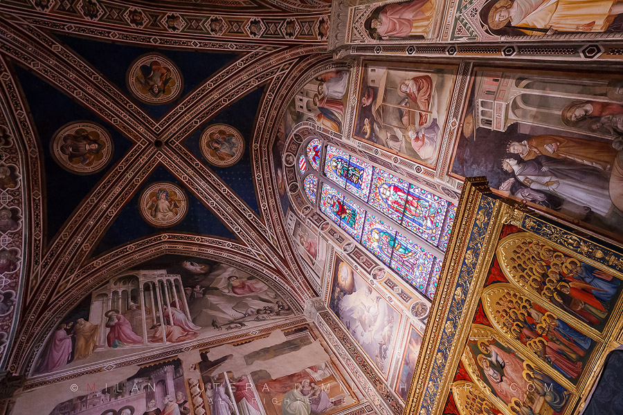 Vaults and Frescoes