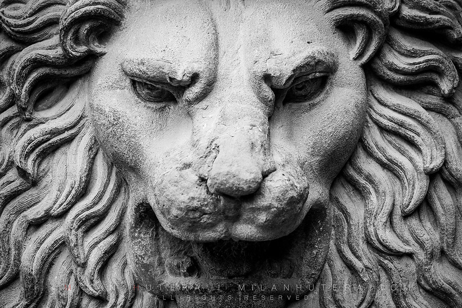 Lion of Palazzo Pitti, Florence, Italy
