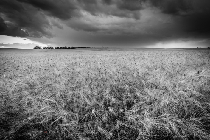 Impending Doom