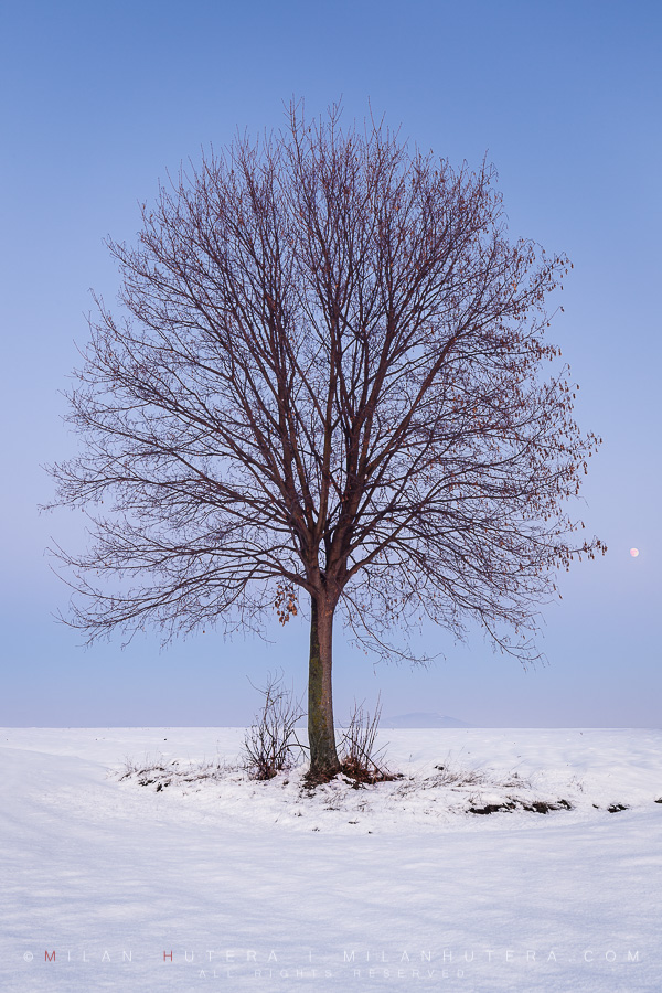 The winter is indeed coming, as the first snow of late autumn of 2017 covers the fields around the lone tree. A waxing gibbous moon hides in the Belt of Venus, just above the Earth's Shadow. Captured about 15 minutes after sunset.