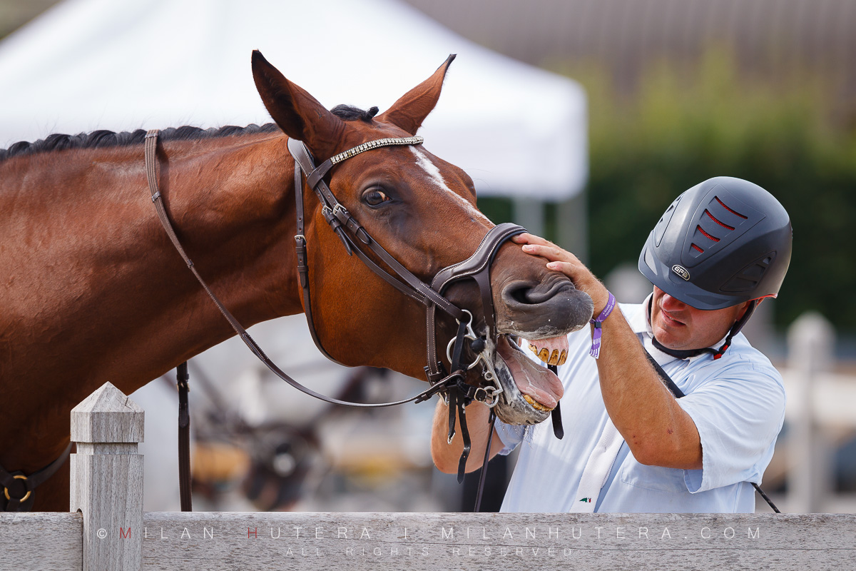 A funny moment of horse teeth cleaning during X-Bionic Summer Tour 2018, held in beautiful X-Bionic Equestor Sphere in Samorin, Slovakia