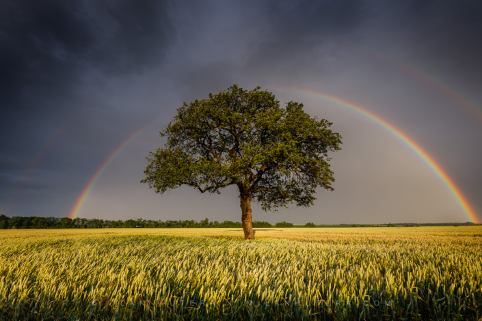Storm Chaser – Rainbow Catcher