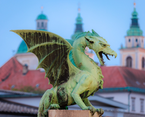 Dragon Bridge at dawn in Ljubljana, Slovenia, featuring a close-up of the iconic green dragon statue with the blurred St. Nicholas Cathedral in the background.