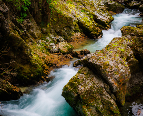 Vintgar Gorge Zig Zag path of the Radovna River cutting through steep canyon walls covered in green moss.
