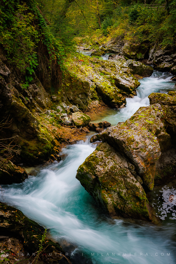 Vintgar Gorge Zig Zag path of the Radovna River cutting through steep canyon walls covered in green moss.